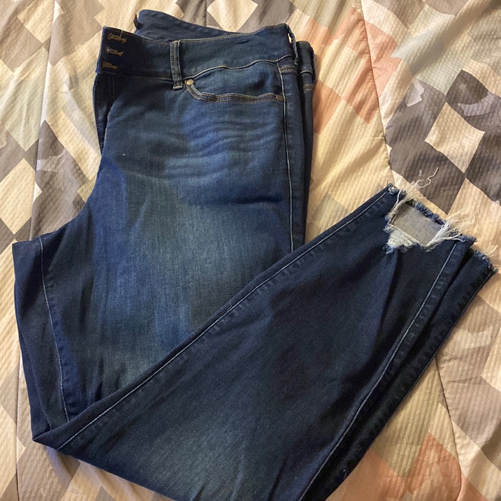 Torrid Jeggings